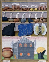 Illustration aus dem Buch der einfachen Heilmittel von Mattheaus Platearius 166r